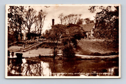 SOUTHEND-on-SEA - Southchurch Hall Gardens - Valentine - Southend, Westcliff & Leigh