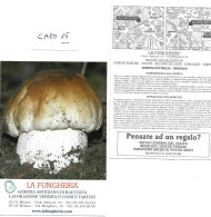 FUNGHI - MUSHROOMS - PILZE - CHAMPIGNONS - SETAS.  Italia: 1 CARD - CARTOLINA PUBBLICITARIA "LA FUNGHERIA" - Pilze