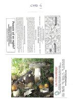 FUNGHI - MUSHROOMS - PILZE - CHAMPIGNONS - SETAS.  Italia: 1 CARD - CARTOLINA PUBBLICITARIA "LA FUNGHERIA" - Pilze