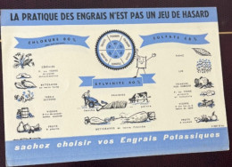 Buvard La Pratique Des Engrais N'est Pas Un Jeu Du Hasard Sachez Choisir Vos Engrais Potassiques - Landbouw