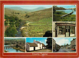 Irlande Du Nord - Tyrone - County Tyrone - Multivues - Northern Ireland - Irlanda Del Norte - CPM - Voir Scans Recto-Ver - Tyrone