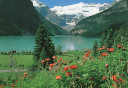 - BANFF NATIONAL PARK   Lake Louise - Photo: Simon Hoyle - Scan Verso - - Banff