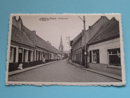 Strijpstraat > Zingem ( Edit.: Préaux / Huis Van Ceulebrock ) Anno 19?? ( Zie / Voir Scans ) ! - Zingem