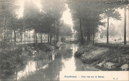 BELGIQUE - Ruysbroeck - Vue Sur La Senne - N 3 - Forêt - Arbre - Paysage - Carte Postale Ancienne - Sint-Pieters-Leeuw