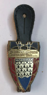 Insigne SAPEURS POMPIERS Du MORBIHAN - Sauver Ou Périr - DRAGO Paris - Firemen