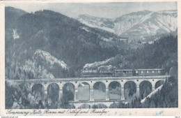 487689Semmering, Kalte Rinne Mit Orthof Und Raxalpe.(Siehe RÃ¼ckseite) - Semmering