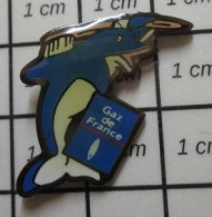 510a Pin's Pins / Belle Qualité Et TB état !!!! : EDF GDF / GAZ DE FRANCE DAUPHIN CETACE SE BROSSANT LE DOS - EDF GDF