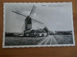 Zingem Molen 't Dal Oudste Molen Van Belgie - Zingem
