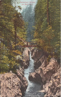 O.O.242  --   RETTENBACH WILDNIS BEI BAD ISCHL  --   SALZKAMMERGUT - Bad Ischl