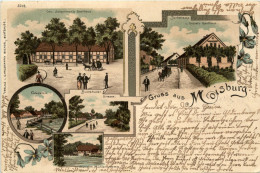 Gruss Aus Moisburg - Litho - Hollenstedt