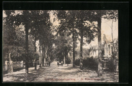 AK De Bilt, Soestdijksche Straatweg - Soestdijk