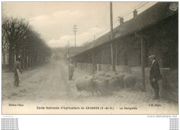 GRIGNON ECOLE NATIONALE D'AGRICULTURE LA BERGERIE - Grignon
