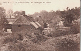 1925  Bouwel    De Konijnenberg  / La  Montagne Des Lapins - Grobbendonk