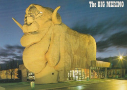 Delcampe - 1 AK Australien * Die Stadt Goulburn Mit Ihrer Größten Attraktion Das Big Merino Ein Merinoschaf - Siehe Auch Rückseite - Sonstige & Ohne Zuordnung