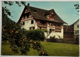AK: MEILEN - Restaurant Burg - Meilen