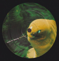 WORK FOR BEAUTY W.F.B.) - 2 X Vinyle, 12", 33  RPM, Promo - CAN'T-SIT-DOWN-HAVE-TO-DANCES REMIXES - 45 T - Maxi-Single