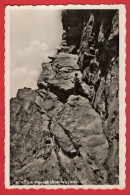CLIMBING  ESCALADE KLETTERN  SWITZERLAND.   U 1954 LE PAS DE CHEVRES   RP - Bergsteigen