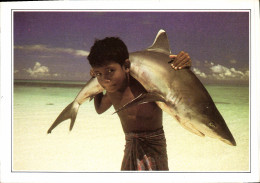 CPM Maldives Islands Maldives Requin A Pointe Blanche - Maldives