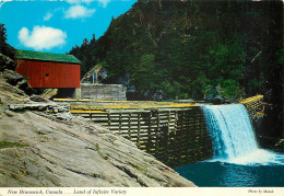 CPM New Brunswick Canada Land Of Infinite Variety - Sonstige & Ohne Zuordnung