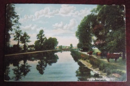Post Card On The Canal , Exeter 1904 - Beau Cachet Rond - Exeter