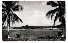 17411 VANUATU NOUVELLES HEBRIDES Carte Photo Plan Peu Courant - Vanuatu