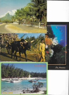 Delcampe - LOT OF 4 POSTCARDS MAURITIUS / MAURICE. - Mauritius
