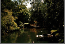 Delcampe - CPA 10x15 - TARBES - Jardin Massey - L'étang - Tarbes