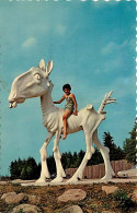SUSSEX, NB - BRONNUM'S ANIMALAND - OLD BLOW HARD - TRAVEL IN 1987 - UNIC - - Sonstige & Ohne Zuordnung