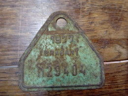 Deux Plaques De Taxe Vélo - Number Plates