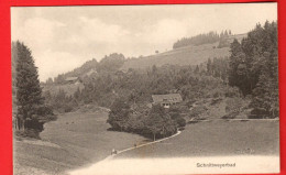 ZZW-18 Schnittweierbad Steffisburg  Franco-Suisse 4565  NG - Steffisburg