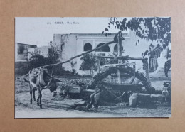 Delcampe - RABAT : Une Noria - Rabat
