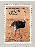 Algeria 1967, Bird, Birds, Ostrich, 1v, MNH** (Split From Set Of 4v) - Autruches