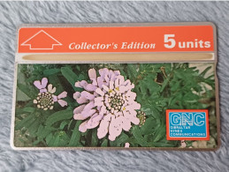 GIBRALTAR - 20 - 230A - Gibraltar Candytuft Collectors Ed. - FLOWER - 2.000EX. - Gibilterra
