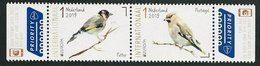 HOLANDA/ PAISES BAJOS/ NEDERLAND/ NETHERLANDS- EUROPA 2019 -NATIONAL BIRDS.-"AVES - BIRDS - VÖGEL -OISEAUX"-SERIE 2 V- N - 2019