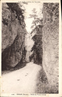 CPA Les Jolis Coins De Savoie Yenne Savoie Defile De Pierre Chatel - Yenne