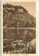 CPA Lac De Bonlieu Le Belvedere - Belvédère