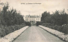 BELGIQUE - Château De Montaigu - Portail - Entrée - Fleurs - Oblit 1911 - Carte Postale Ancienne - Scherpenheuvel-Zichem