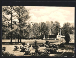 AK Luckenwalde, HO-Cafe Im Stadtpark - Luckenwalde