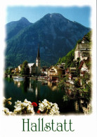CPM. HALLSTATT Am HALLSTÄTTERSEE  .  AFFR AU VERSO MAIS NON VOYAGEE - Hallstatt