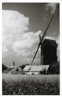 Zingem - Molen 't Dal (fotokaart) - Zingem