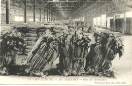Delcampe - Mazamet Gare Des Marchandises - Mazamet