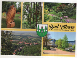 Delcampe - AK 239743 GERMANY - Bad Tabarz - Tabarz