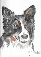 Art & Antiquités > Tableaux > Aquarelles  Le Border Colley Aquarelle  Originale De B.Le Beguec Chien - Acquarelli