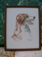 Art & Antiquités > Tableaux > Aquarelles Epagneul Breton  Aquarelle  Originale De B.Le Beguec Chien - Acquarelli