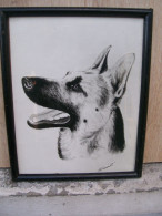 Art & Antiquités > Tableaux > Berger Allemand - Aquarelle Originale   De M. Launet?? - Chien - Acquarelli