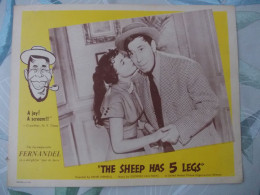 FERNANDEL   LOBBY CARD/  AFFICHETTE   DE CINEMA - Bioscoopreclame
