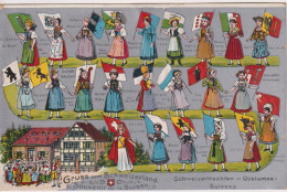 Delcampe - SWITZERLAND Gruss Vi=om Schweizerland - Ladies In National And Regional Costumes With Flags - Genealogie