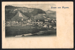 AK Signau, Totale Des Ortes - Signau