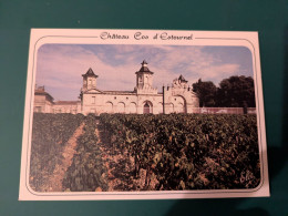 CHATEAU LOS ESTOURNEL - Wassertürme & Windräder (Repeller)