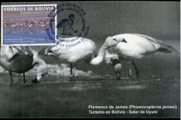 Delcampe - X5841 Bolivia, Maximum Card 2005,  Flamencos - Flamants